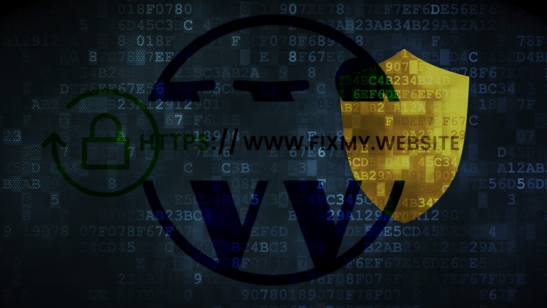 wordpress security fix my website